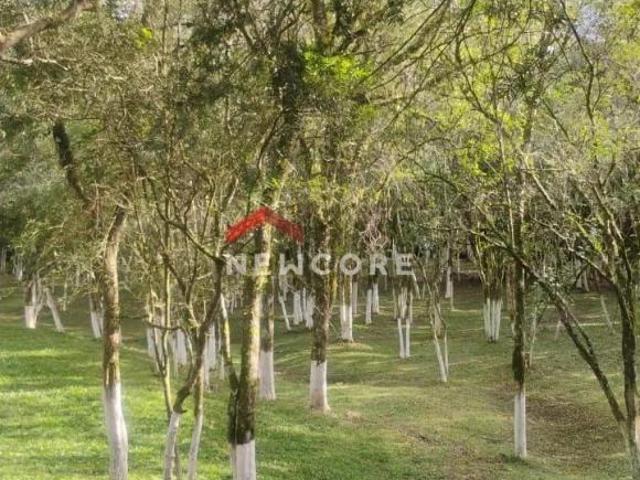 Chácara em Área Rural Campo Largo da Roseira São José dos Pinhais/PR