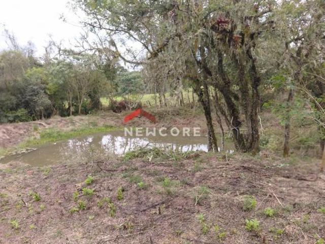 Chácara em Área Rural Área Rural de São José dos Pinhais São José dos Pinhais/PR