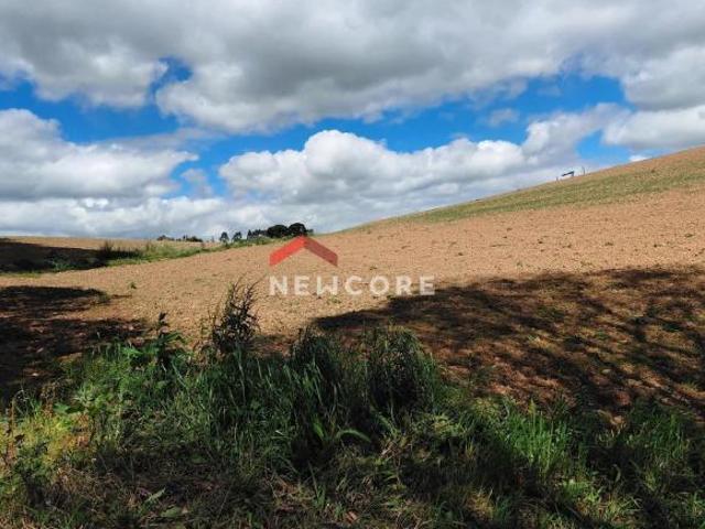 Chácara em Área Rural Área Rural de São José dos Pinhais São José dos Pinhais/PR