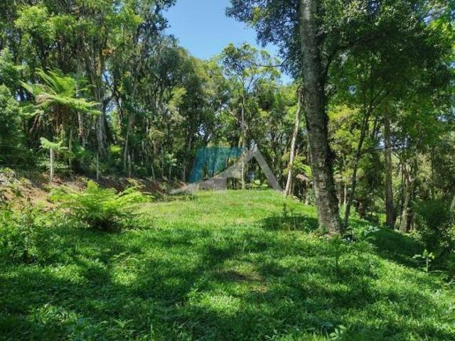 Chácara em Área Rural de São José dos Pinhais, São José dos Pinhais/PR