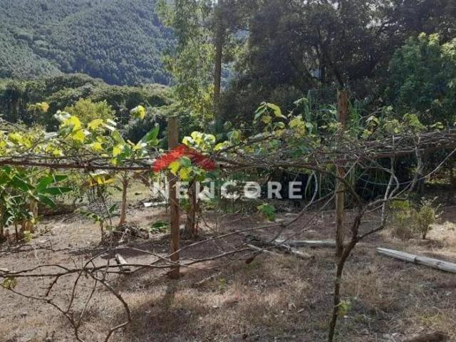 Chácara em Bocaiúva do Sul Campo Novo Bocaiúva do Sul/PR
