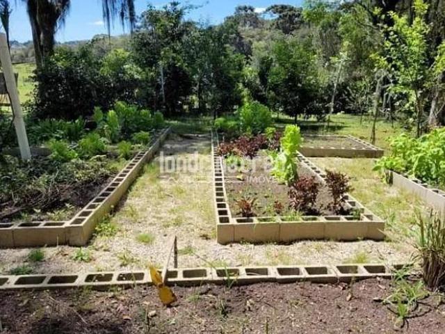 Chácara em Campina do Taquaral, São José dos Pinhais/PR de 10m² 1 quartos à venda por R$ 1.600.000,0