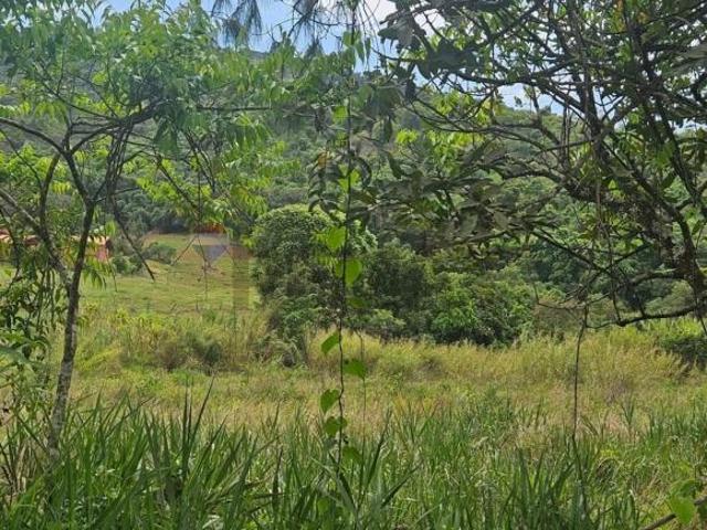 Chácara em Centro, Carmópolis de Minas/MG de 517000m² à venda por R$ 550.000,00