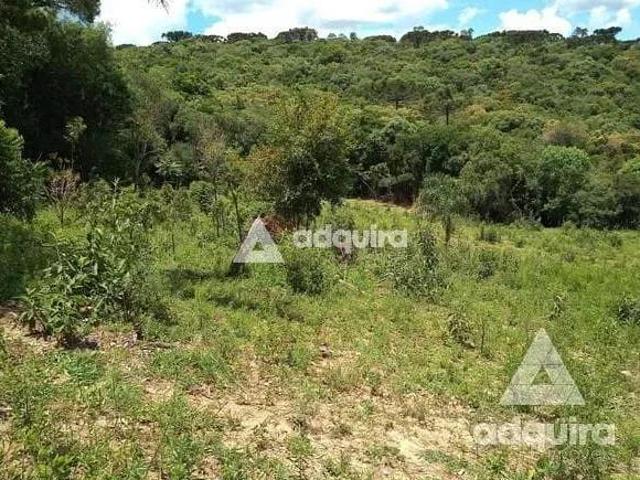 Chácara em Centro, Palmeira/PR de 10m² 1 quartos à venda por R$ 1.000.000,00