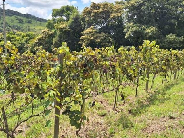 Chácara em Centro, Passa Tempo/MG de 550000m² 6 quartos à venda por R$ 1.450.000,00