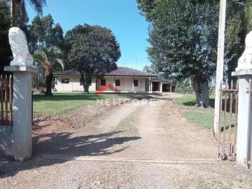 Chácara em Colônia Murici São José dos Pinhais Colônia Murici Colônia Murici/PR