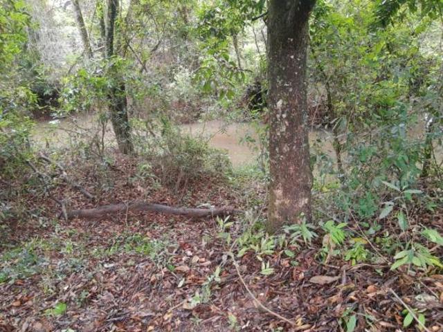 Chacara em Conchal SP 3.700 metros quadrados