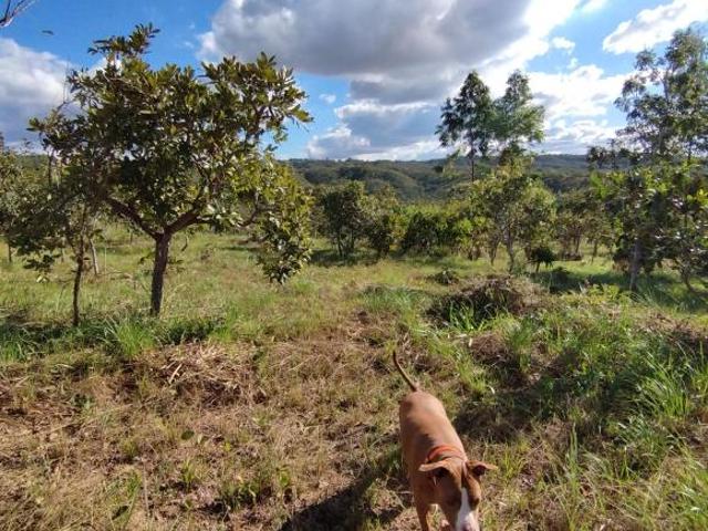 Chácara em condomínio com vista espetacular e córrego Altiplano Leste Rua 10