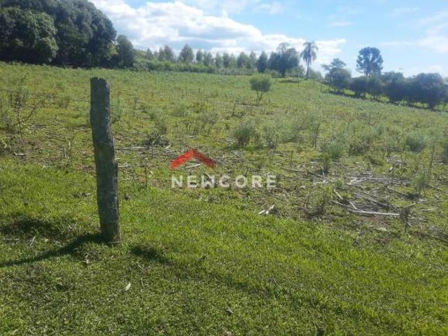 Chácara em Criúva caxias do Sul Criúva Criúva/RS