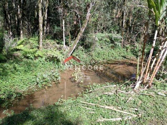 Chácara em Estrada Conceição dos Correias Morro Da Palha Campo Magro/PR