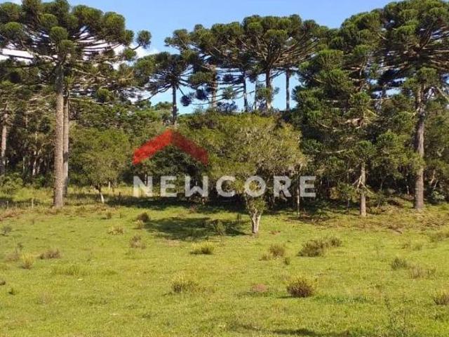 Chácara em Estrada geral Contendas São Francisco de Paula/RS