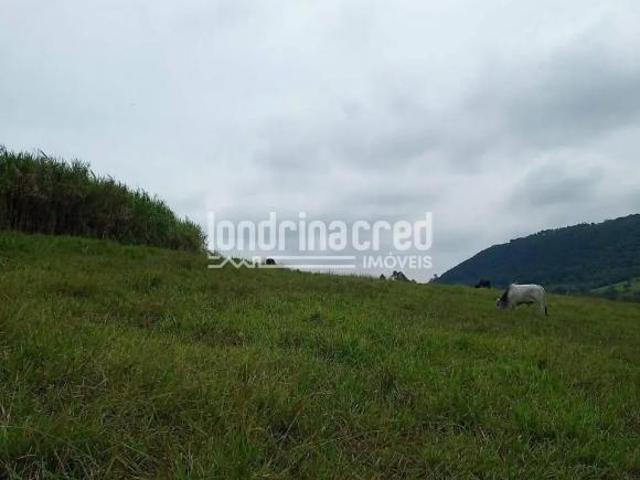 Chácara em Gleba 01, Tamarana/PR de 132m² 2 quartos à venda por R$ 650.000,00