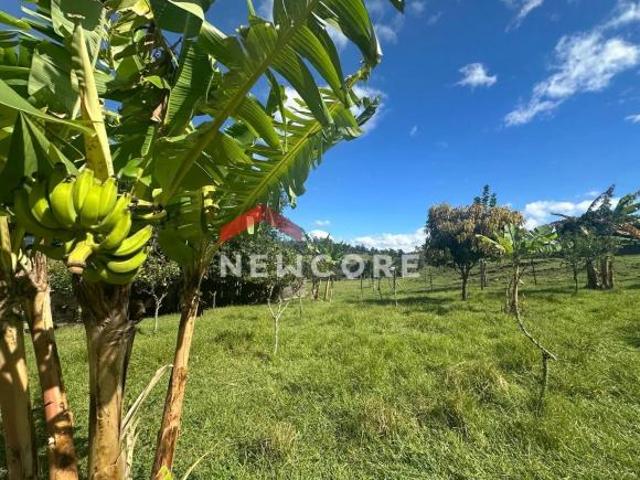 Chácara em Igrejinha Centro Igrejinha/RS