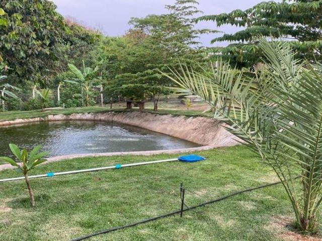 Chácara em Jales