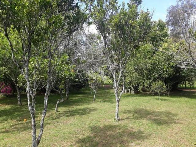 Chacara em Linha Nova, santa cruz do sul