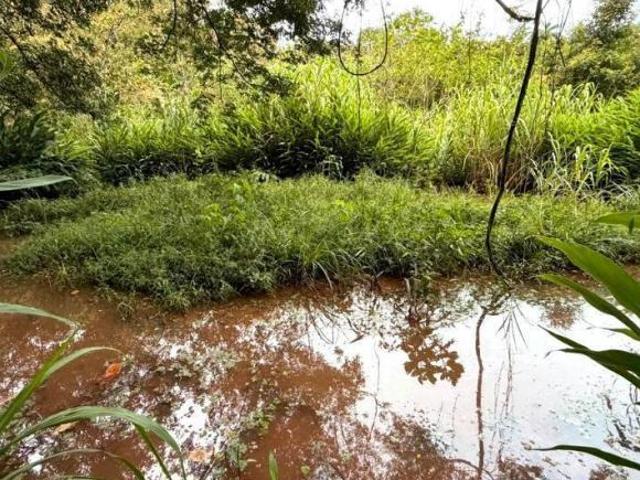 CHÁCARA EM PIRACEMA /MG