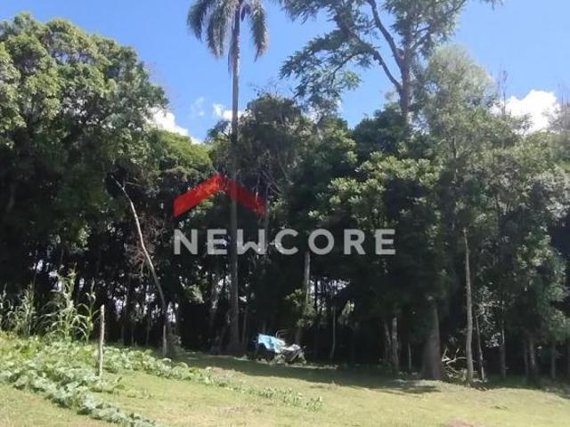 Chácara em Rua Alberto Michosz, 5434 Campestre da Faxina São José dos Pinhais/PR