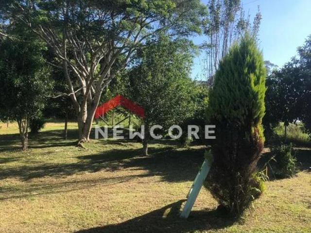 Chácara em Rua Campestre Colônia Murici São José dos Pinhais/PR