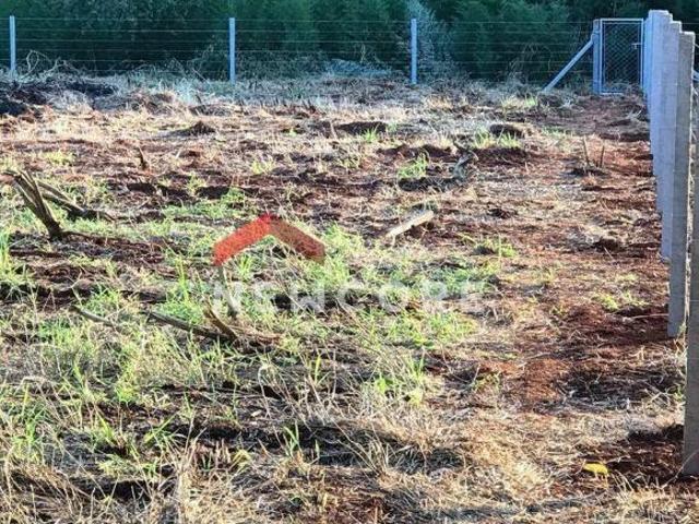 Chácara em Rua Encarnação Carnisari Guerreiro Parque Nacional Londrina/PR