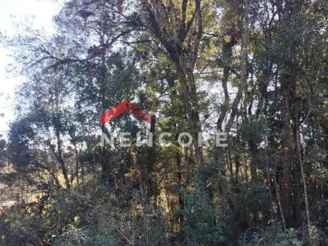 Chácara em Rua João Bortolan Colônia Murici São José dos Pinhais/PR