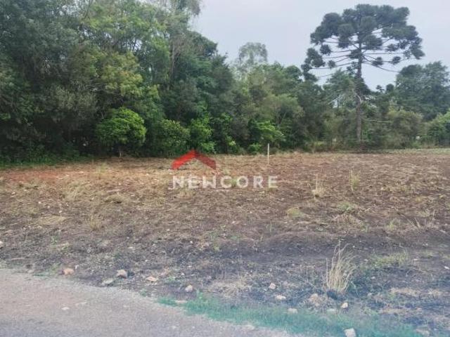 Chácara em Rua Joaquim Alves Fontes Colônia Murici São José dos Pinhais/PR