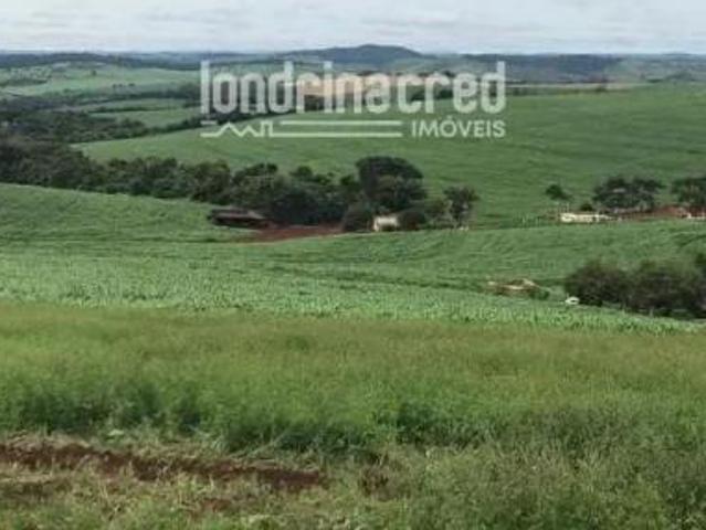 Chácara em Rural, Guairaçá/PR de 10m² 1 quartos à venda por R$ 1.485.000,00