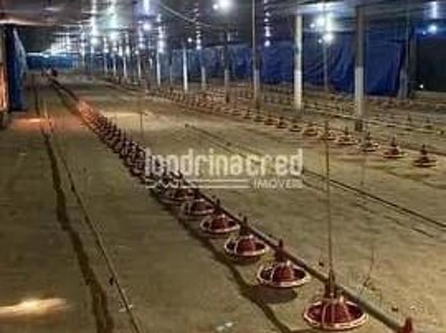 Chácara em Rural, Tamarana/PR de 10m² 1 quartos à venda por R$ 1.900.000,00
