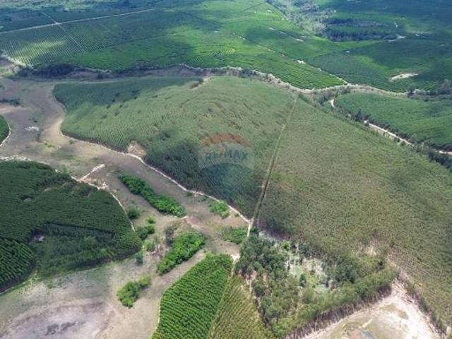Chácara em Reserva Ecológica Sete Nascente, Bofete/SP de 1159088m² 1 quartos à venda por R$ 5.800.00