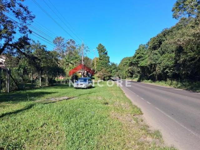 Chácara em Rodovia Teixeirinha Morungava II Morungava Gravataí/RS