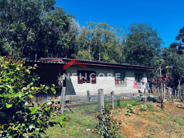 Chácara em Rs 020 Recosta Recosta São Francisco de Paula/RS