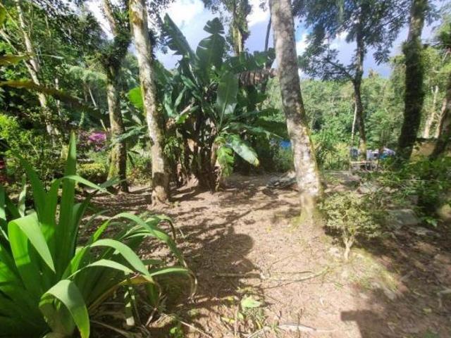 Chácara em São Lourenço da Serra medindo 2.500,00 m² com casa simples