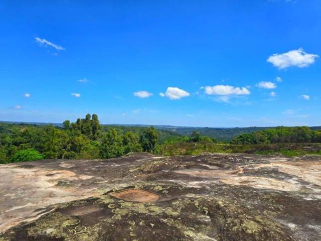 Chácara em São Luiz do Purunã, Balsa Nova/PR