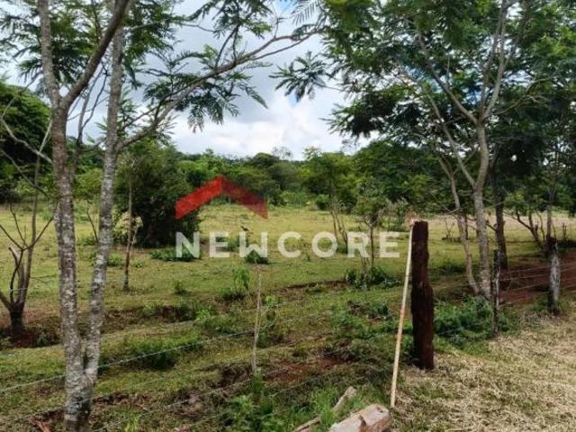 Chácara em São Miguel do Iguaçu Serra do Mico São Miguel do Iguaçu/PR