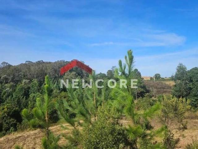 Chácara em Santa Lúcia do Piaí caxias do Sul Centro Caxias do Sul/RS