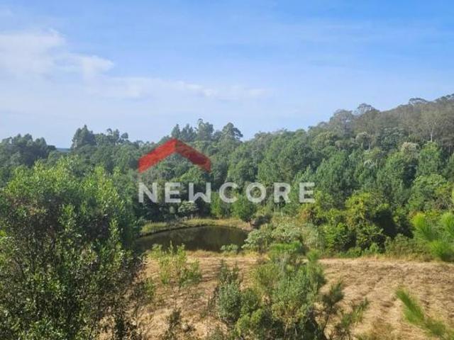 Chácara em Santa Lúcia do Piaí caxias do Sul Centro Caxias do Sul/RS