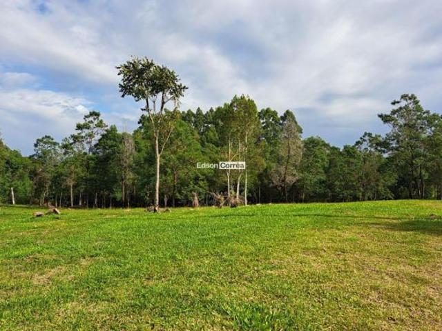 Chácara em Serra Grande com escritura por apenas R$ 160.000,00!
