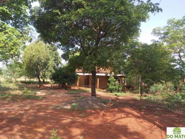 CHACARA EM TERENOS MS 6 7 HECTARES
