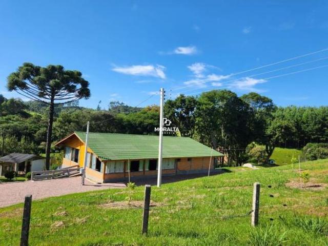 Chácara a venda com Plantação de Pinos em Tijucas do Sul