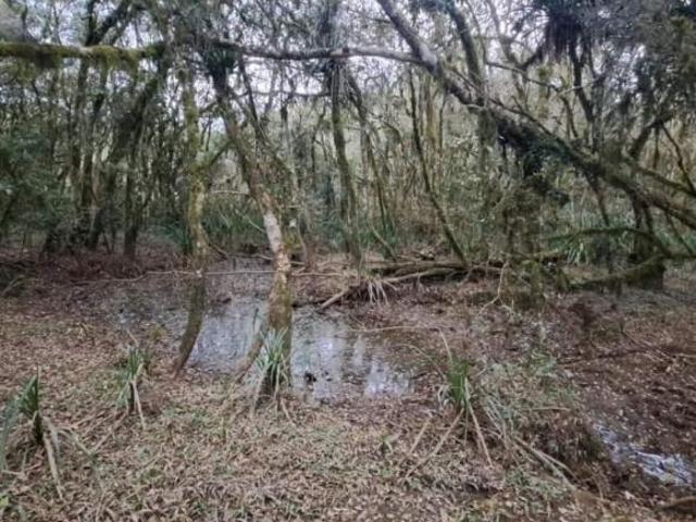 Chácara em, Tijucas do Sul/PR de 33000m² 2 quartos à venda por R$ 580.000,00