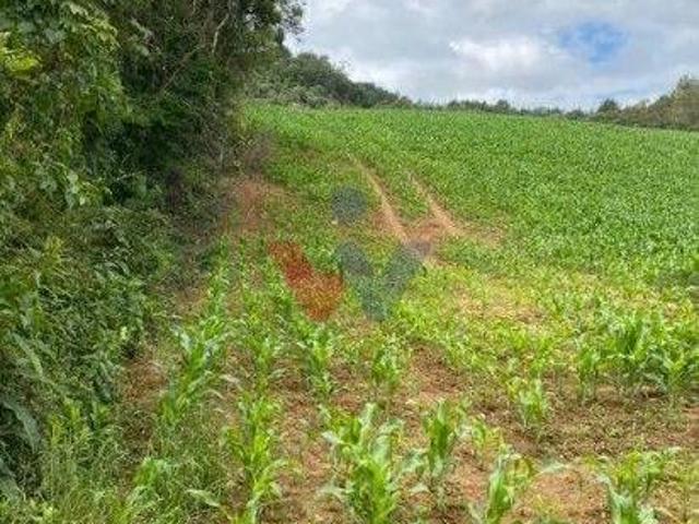 Chácara em, Tijucas do Sul/PR de 9468234m² 1 quartos à venda por R$ 1.350.000,00