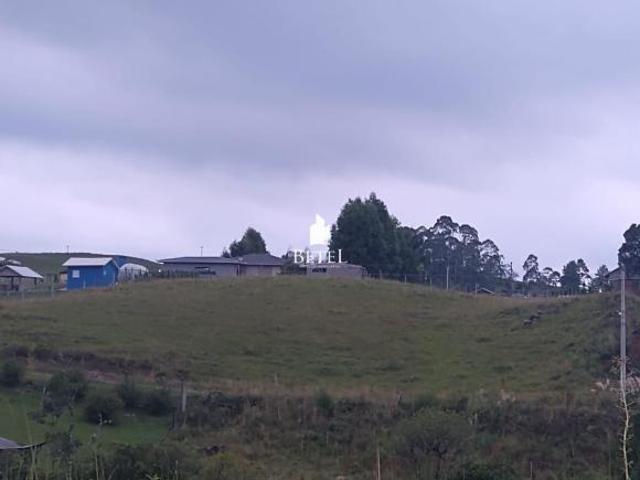 Chácara em Vila Seca, Caxias do Sul/RS