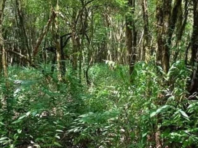 Chácara em Zona Rural, Contenda/PR de 7000m² 1 quartos à venda por R$ 254.900,00