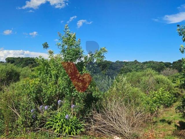Chácara em Zona Rural, Contenda/PR de 7000m² 1 quartos à venda por R$ 255.000,00