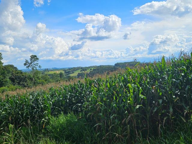 Chácara em Zona Rural, Contenda/PR de 36400m² 1 quartos à venda por R$ 469.800,00