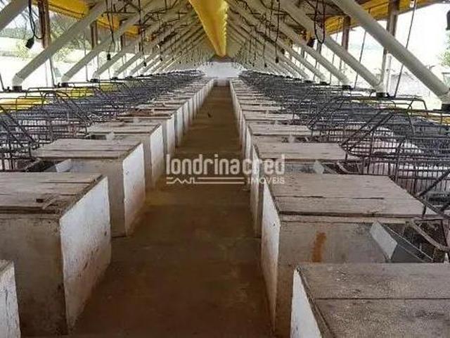 Chácara em Zona Rural, Ouro Verde Do Oeste/PR de 6000m² 1 quartos à venda por R$ 15.000.000,00