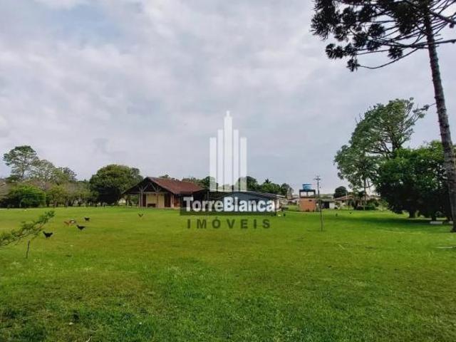 Chácara em Zona Rural, Palmeira/PR de 35600m² 3 quartos à venda por R$ 3.000.000,00