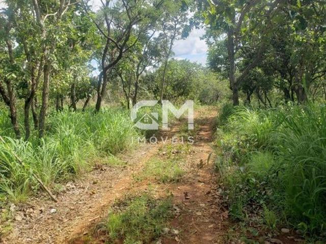 Chácara Escriturada/ 4 hectares/ Plana/Cerrado/Cercada/Aceita troca 61 3595 1212