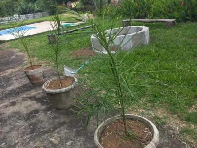 Chacara, Esmeril, Santa Rita do Sapucaí, MG