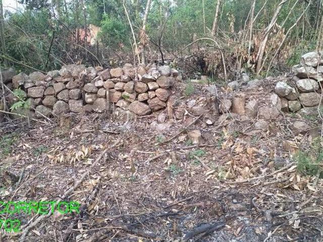 Chacara, Esperança, Maratá, RS