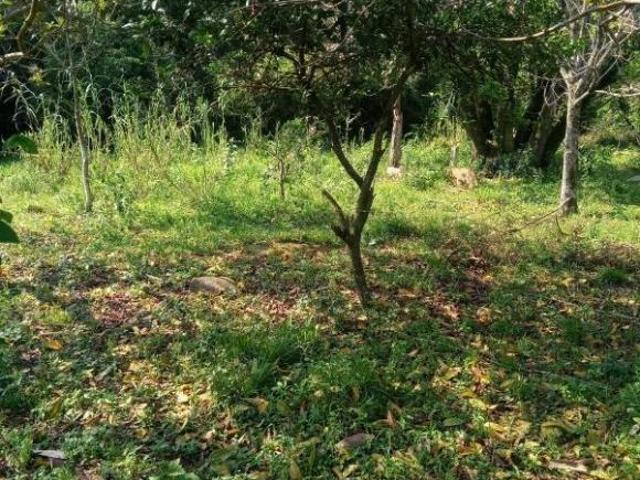 Chácara Bom Retiro do Sul